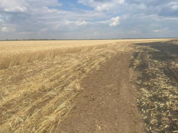 На Херсонщині окупанти вдарили по полю